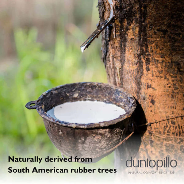 Dunlopillo Serenity Comfort Latex Front & Back Sleeper Pillow