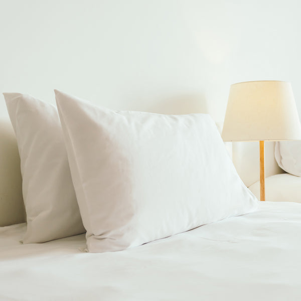 Nest Home Luxury Cotton Pillow Pair